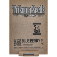 Blueberry AutoFem