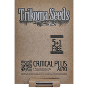 Critical Plus AutoFem