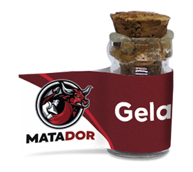 Gelato AutoFem