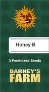 Honey B Fem