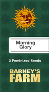 Morning Glory Fem