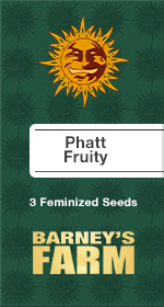 Phatt Fruity Fem