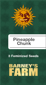 Pineapple Chunk Fem