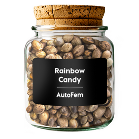 Rainbow Candy AutoFem