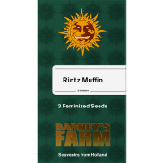 Runtz Muffin Fem
