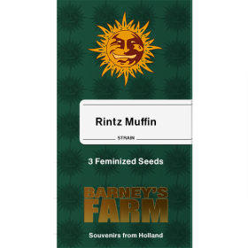 Runtz Muffin Fem
