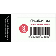 Skywalker Haze AutoFem