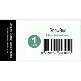 Snow Bud Fem