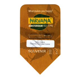 Swiss Cheese AutoFem