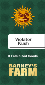 Violator Kush Fem